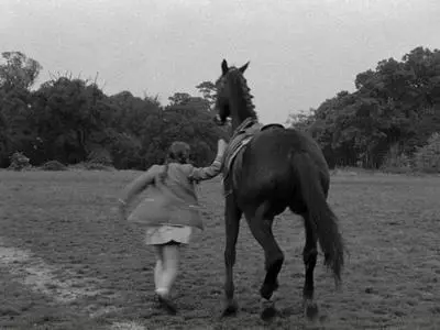 The Galloping Major (1951)