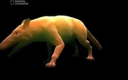 National Geographic - Evolutions (2008) DVDRip