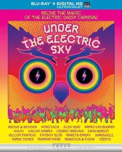 EDC 2013: Under the Electric Sky (2014)