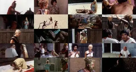 The Arena (1974)