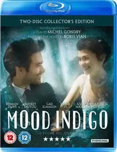 Mood Indigo (2013)