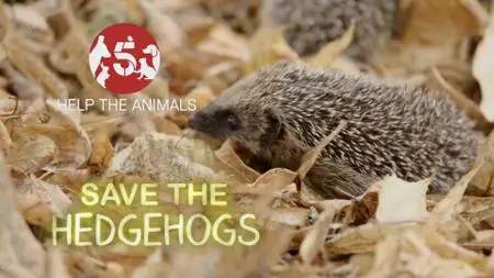 Ch5. - Save The Hedgehogs For Help The Animals (2019)