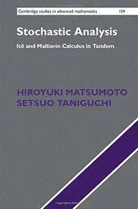 Stochastic Analysis: Itô and Malliavin Calculus in Tandem