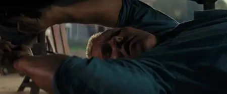 Loving (2016)