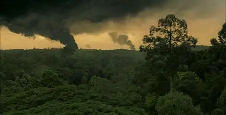 Canopy (2013)