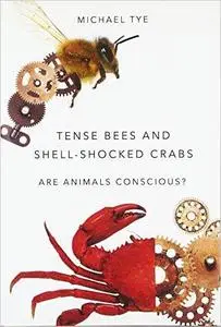 Tense Bees and Shell-Shocked Crabs: Are Animals Conscious? [Repost]