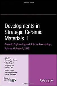 Developments in Strategic Ceramic Materials II