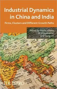 Industrial Dynamics in China and India: Firms, Clusters, and Different Growth Paths (repost)