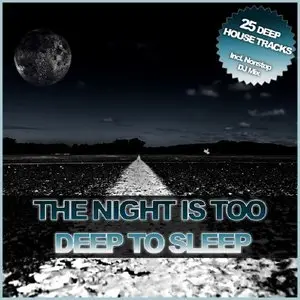 VA - The Night Is Too Deep To Sleep (Inclusive Nonstop DJ Mix) (2009)