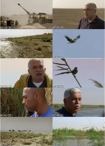 BBC - Natural World: Miracle in the Marshes of Iraq (2011, vol. 9)