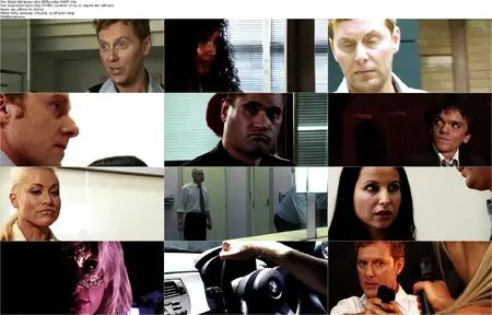 Model Behaviour (2013)