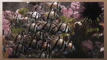 Screensaver Aquarium Real Life 8