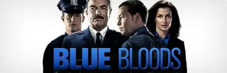 Blue Bloods S01E12