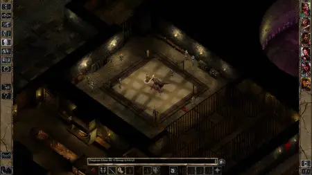 Baldur's Gate II: Enhanced Edition (2013)