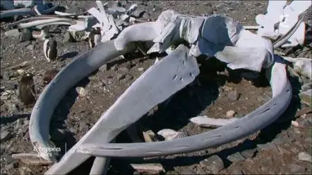(Fr5) Échappées belles - La route du bout du monde (2015)