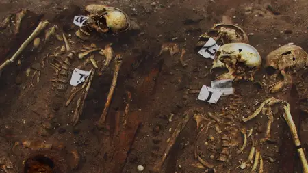 UKTV - Viking Dead (2018)