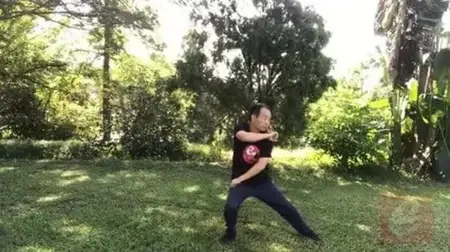 Sparring Tai Chi-Chen New Frame Routine Xinjia 2 For Fitness