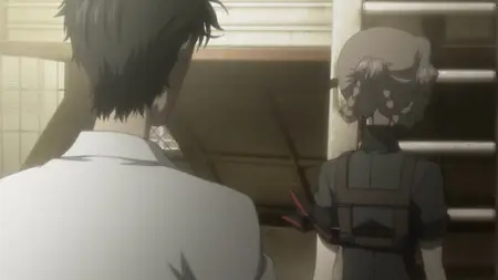 Steins;Gate 0 (BD 1080p) | Steins;Gate Zero S1