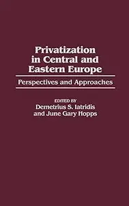 Privatization in Central and Eastern Europe: Perspectives and Approaches (Post-Communist Cultural Studies