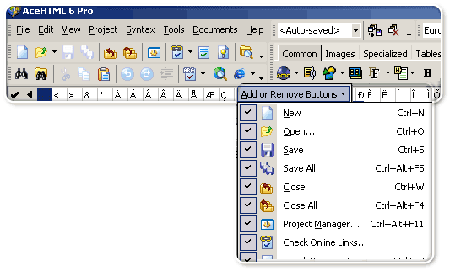 AceHTML Pro ver.6.60