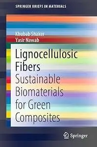 Lignocellulosic Fibers: Sustainable Biomaterials for Green Composites