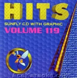 Sunfly 119-16 UK CHART HITS Karaoke MP3+G
