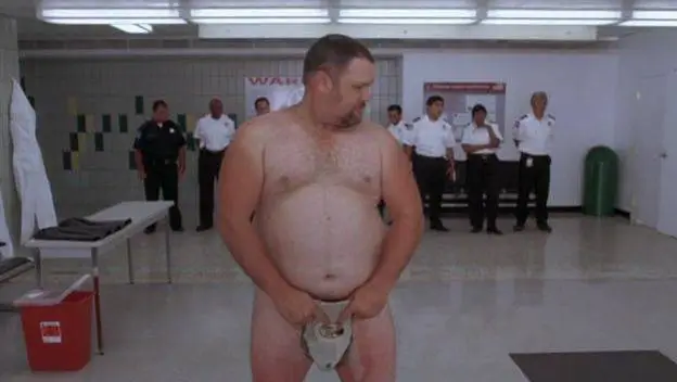 Бестолковая защита / Witless Protection (2008) DVDRip