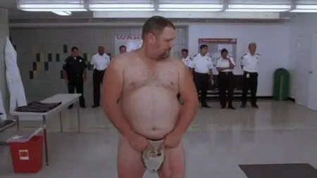 Бестолковая защита / Witless Protection (2008) DVDRip