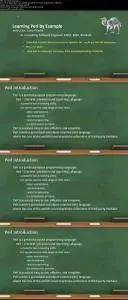 Learning Perl by Example