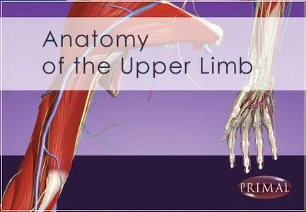 Primal Picture: Anatomy of the Upper Limb DVD 1.0