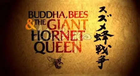 BBC Natural World - Buddha, Bees and the Giant Hornet Queen (2007) [Included Eng Sub]