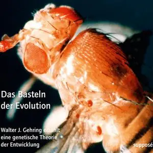 «Das Basteln der Evolution» by Klaus Sander,Walter J. Gehring