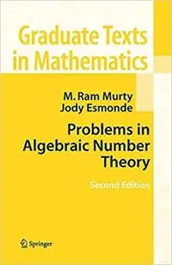 Problems in Algebraic Number Theory (Repost)