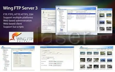 Wing FTP Server v3.4.5 Corporate Edition Multilingual 