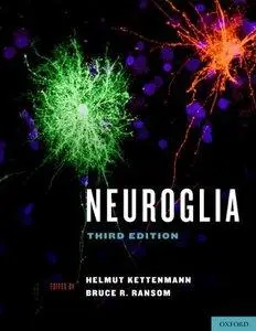 Neuroglia, 3rd Edition (repost)