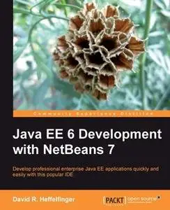 «Java EE 6 Development with NetBeans 7» by David R.Heffelfinger