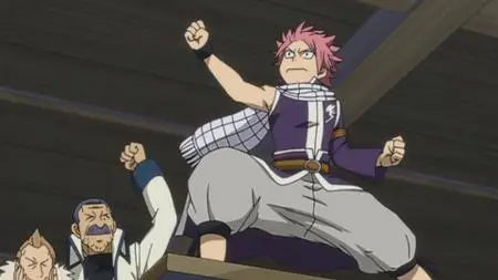 Fairy Tail 161-170 (2009-2013)