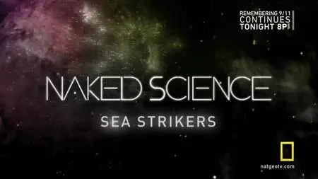 NG Naked Science - Sea Strikers (2010)