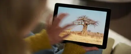 Irréductible (2022)