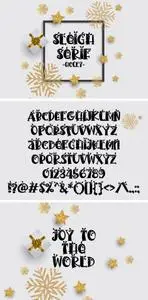 PN Sleigh Serif Holly 181041