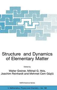 Structure and Dynamics of Elementary Matter