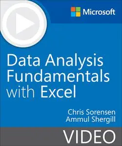 Data Analysis Fundamentals with Excel (Video)