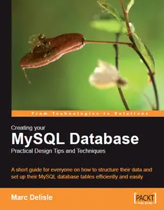 Creating your MySQL Database: Practical Design Tips and Techniques (Repost)