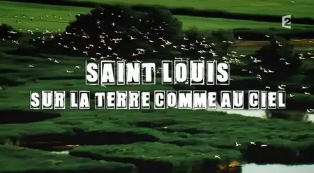 (Fr2) Secrets d'histoire - Saint Louis, sur la terre comme au ciel (2014)