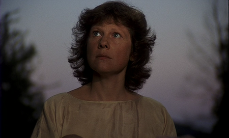 Spoorloos / The Vanishing (1988)