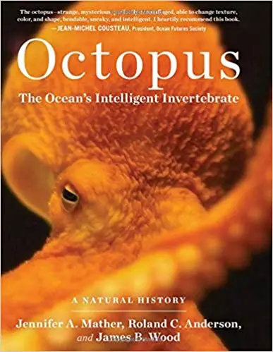 Octopus: The Ocean's Intelligent Invertebrate