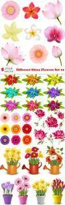 Vectors - Different Shiny Flowers Set 12