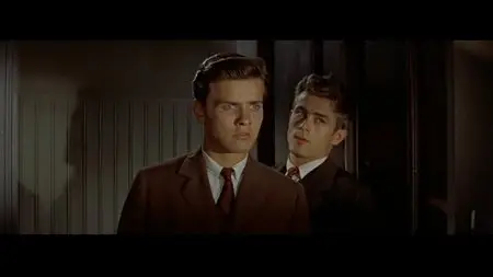East of Eden (1955) [Special Edition]
