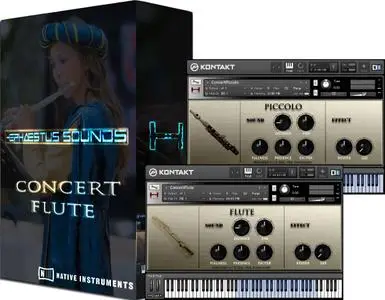 Hephaestus Sounds Concert Flute 2nd Concept v2.01 KONTAKT