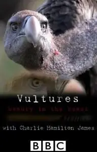 BBC Natural World - Vultures: Beauty in the Beast (2014) [Repost]